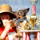 Scamp recibiendo el trofeo al primer lugar.